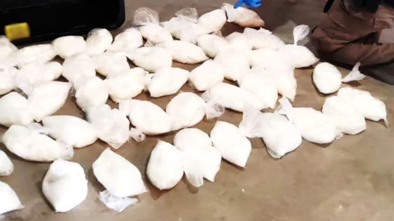 Guardia Nacional asegura más de 200 kilos de droga en aeropuerto de Tijuana