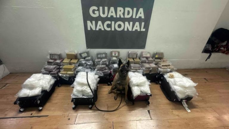 Guardia Nacional asegura más de 200 kilos de droga en aeropuerto de Tijuana