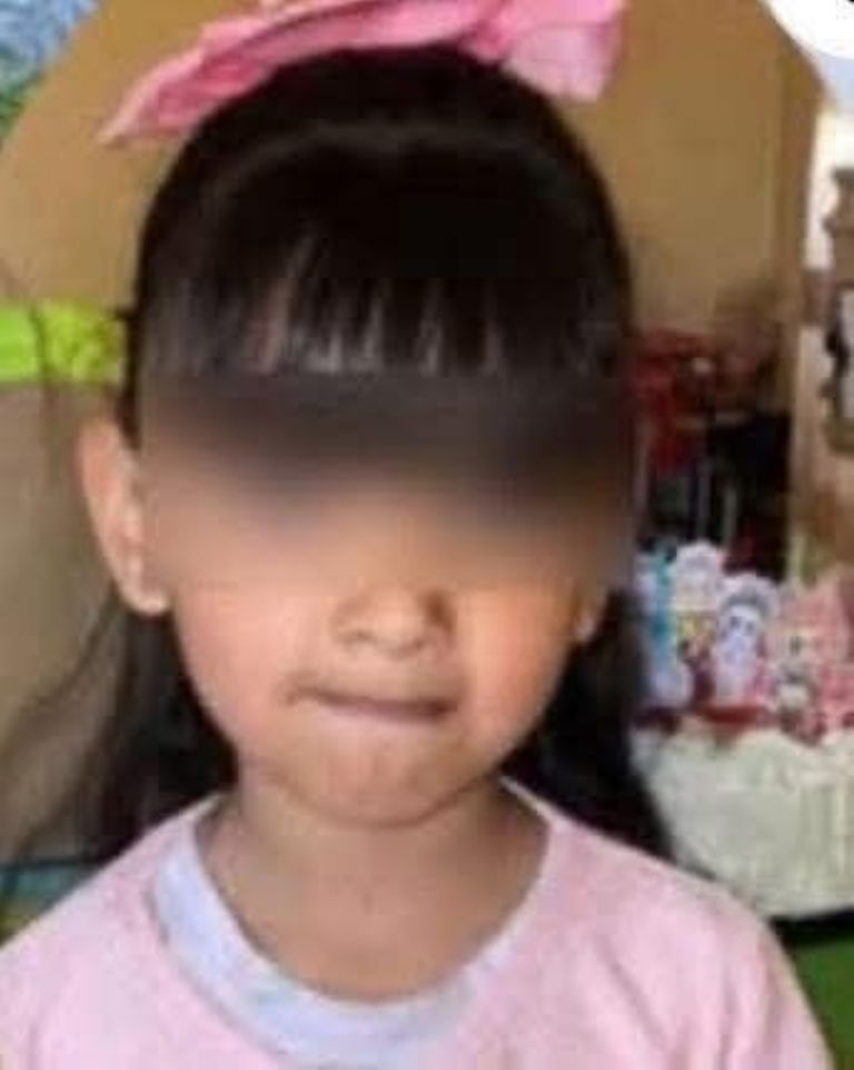 La menor, de solo cuatro años de edad, presuntamente murió ahogada. Foto: Facebook