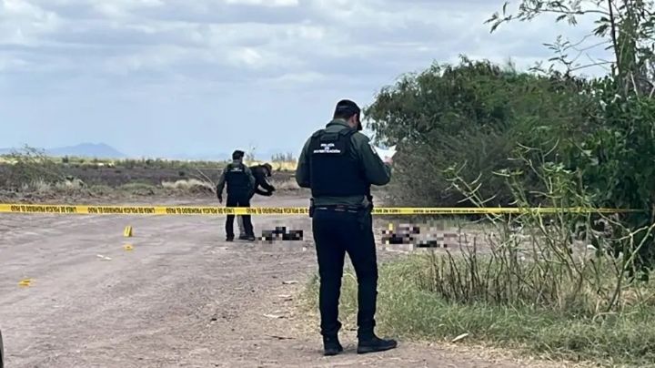 Encuentran tres cuerpos de hombres asesinados en la colonia Eduwiges de Navolato