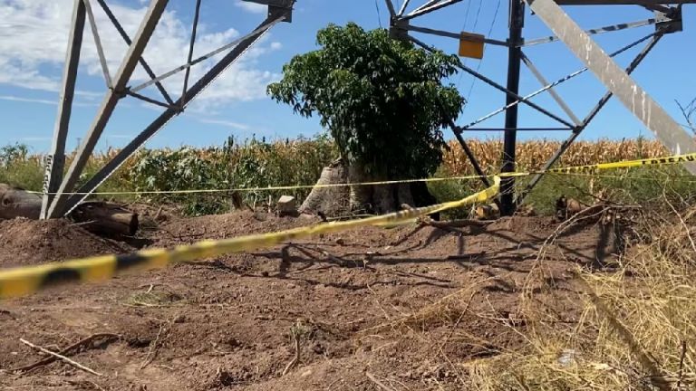 Retomarán Guerreras Buscadoras de Ciudad Obregón jornadas de búsqueda en valle del Yaqui