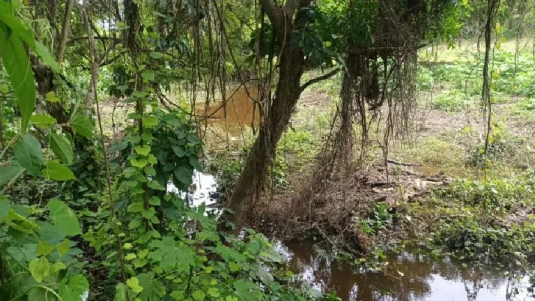 Menor de 6 años desaparecida es encontrada muerta en una zanja en Tuxpan, Veracruz