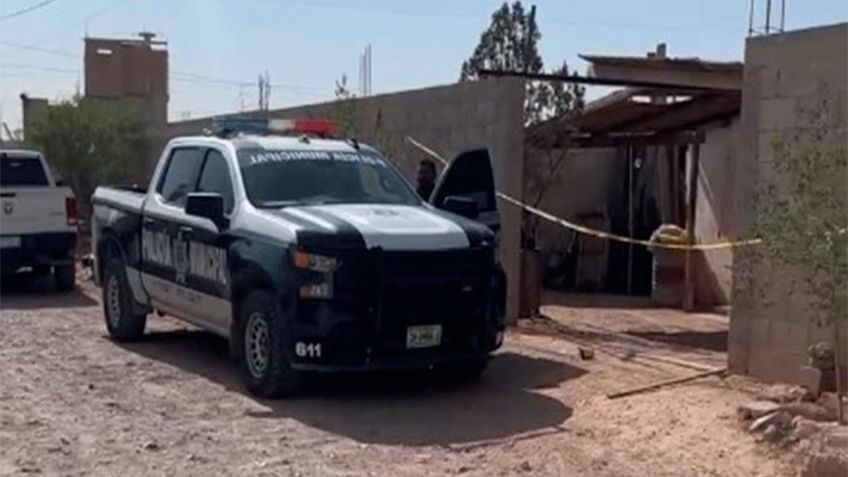 Hallazgo macabro en Chihuahua: Perro lleva cráneo humano hasta su casa en Ciudad Juárez