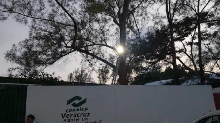 Personal de limpieza encuentra feto humano dentro de taza de baño en Conalep de Tuxpan