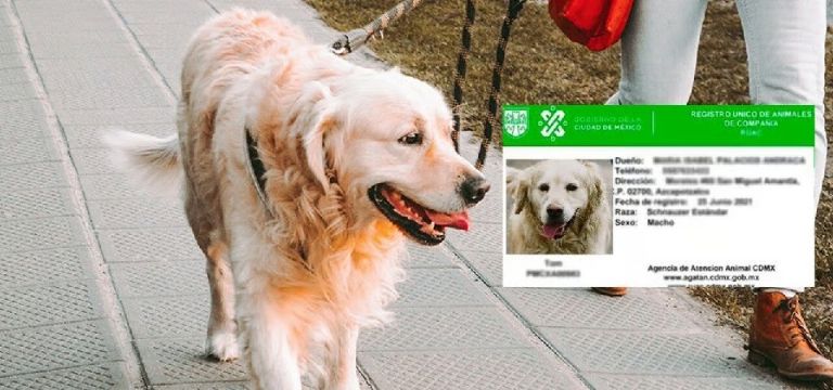 Se busca mejorar la calidad de vida de los animales de compañia y acceder a beneficios