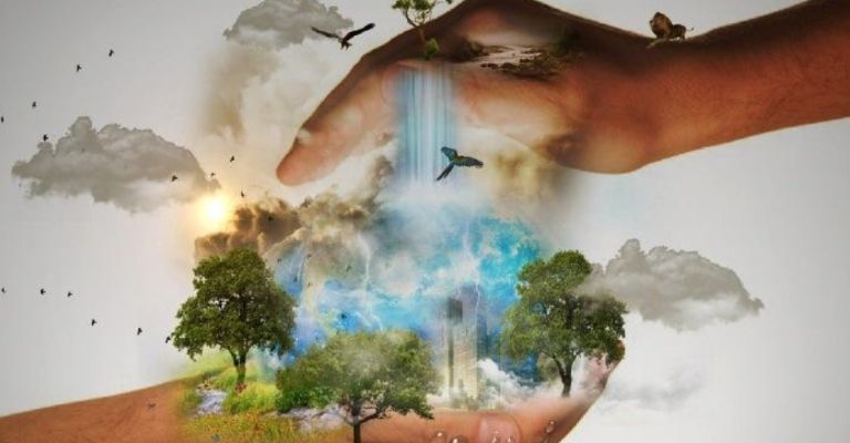 Cuál es el origen del Día del Medio Ambiente y porqué se celebra el 5 de junio