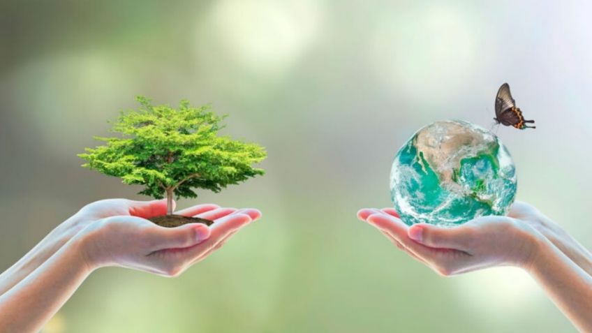 Día Mundial del Medio Ambiente: Cuál es su origen, porqué se creó y se celebra el 5 de junio