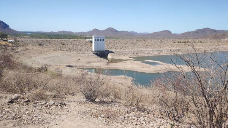 Piden productores del sur de Sonora declaratoria de zona de desastre natural