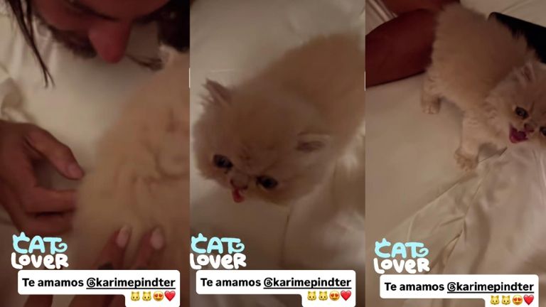 Karime le regaló un gatito a Galilea Montijo