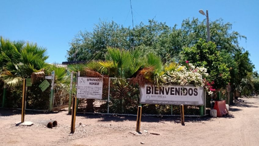 DAER está al ‘tope’ de personas con problemas de drogadicción en Guaymas