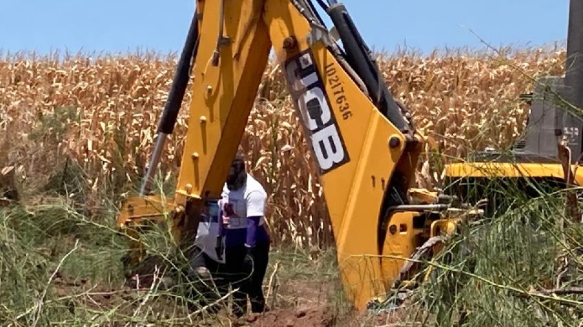 Cansadas, pero motivadas, retoman la búsqueda Guerreras Buscadoras de Obregón