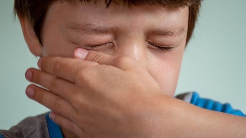 Menor es hallado en estado de shock en Zapopan; raptaron y asesinaron a toda su familia