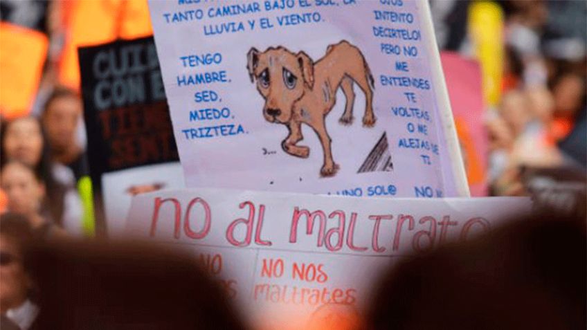 Tráfico en CDMX: Se espera caos por marchas y bloqueos este 13 de julio en la capital