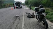 Foto ilustrativa de la nota titulada Buscan reducir accidentes vehiculares en la carretera Navojoa-Álamos