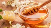 Foto ilustrativa de la nota titulada Profeco analiza varias marcas de miel; estas son las MEJORES del mercado mexicano