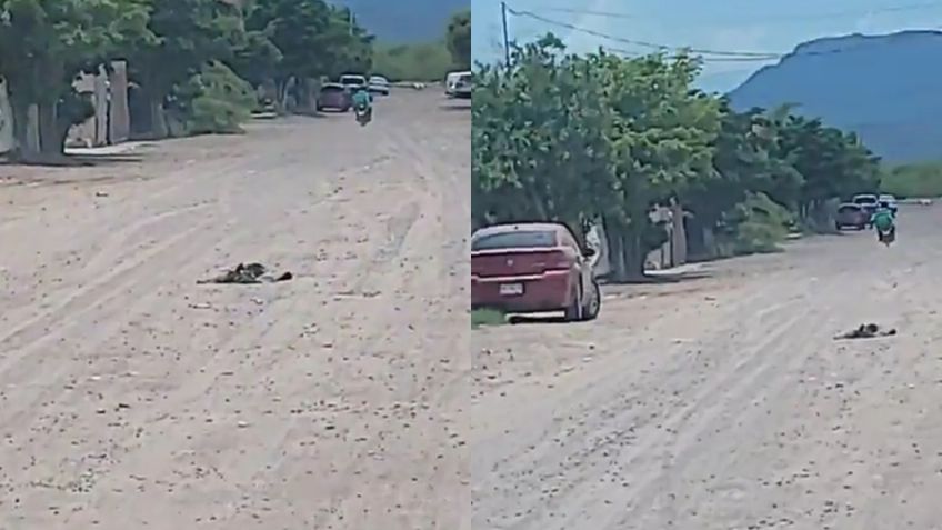 Ciudad Obregón: Por violencia armada, Policía protege a trabajadores del Gobierno