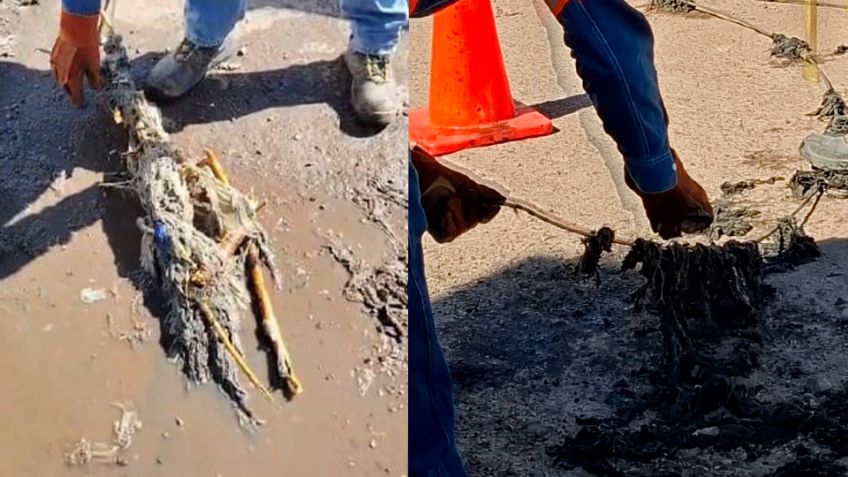 Agua de Hermosillo llama a no tirar desechos ni toallitas húmedas a la red sanitaria