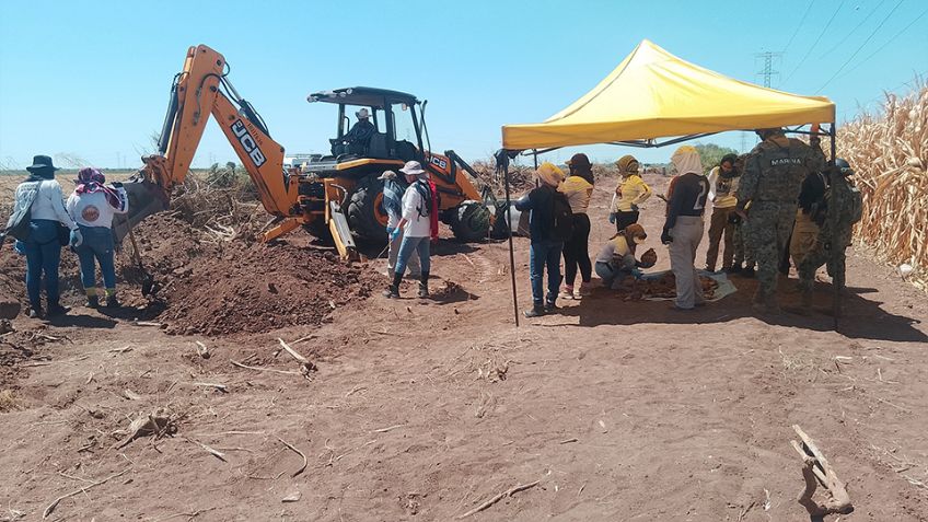 "Primer caso de esta dimensión": FGJES sobre hallazgo de 20 osamentas en el Valle del Yaqui
