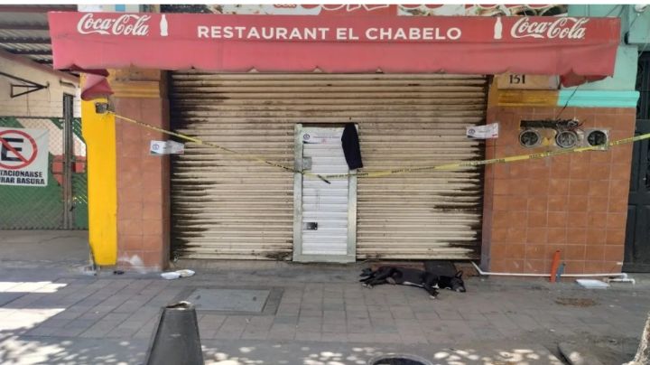 El 'Hachiko de Culiacán': Perrito espera a su dueño frente a negocio donde fue asesinado