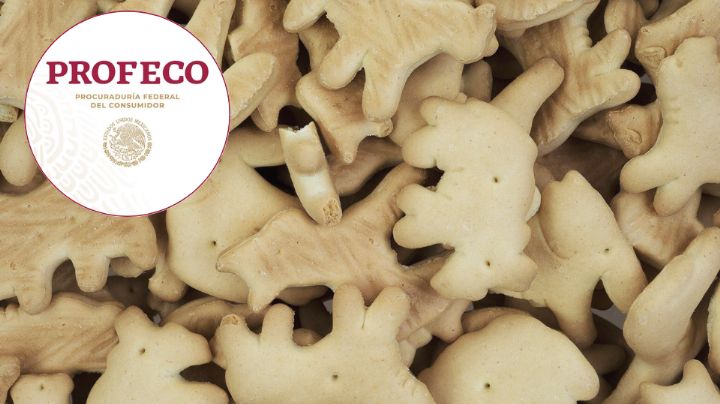 'Menos azúcar': estas son las galletas que la PROFECO recomienda consumir