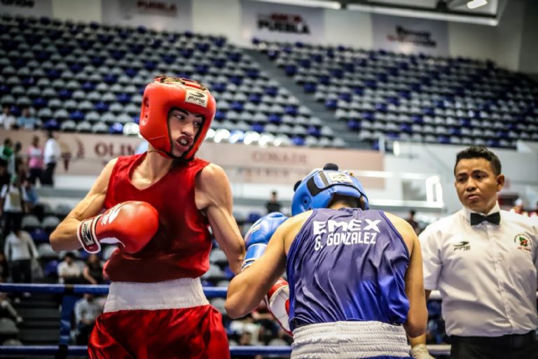 Coronado arriba del ring