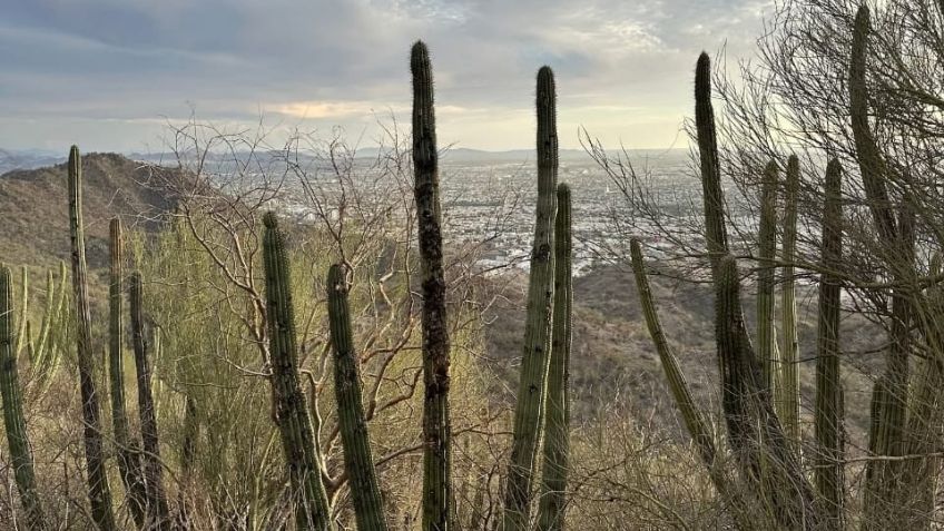 Personas enfermas del corazón son más propensas a tener un golpe de calor, según experto
