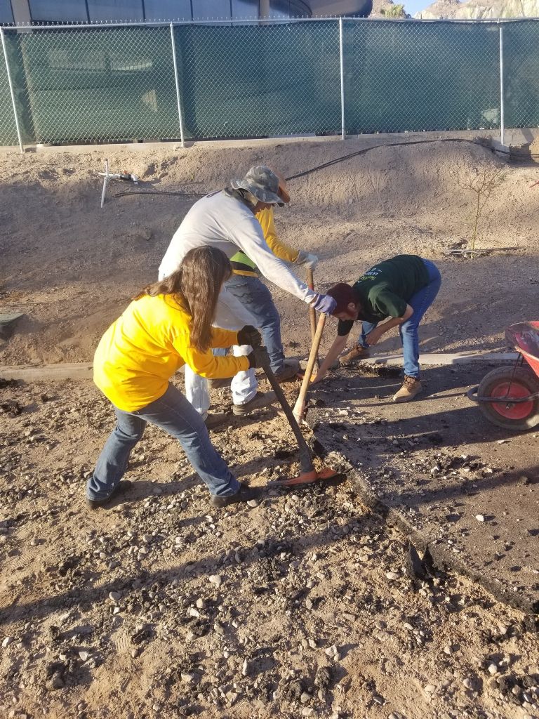 Podrían enfrentar una pena 