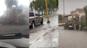 Foto ilustrativa de la nota titulada ¡Ciudad Obregón bajo el agua! Por intensa lluvia se registran ocho árboles caídos
