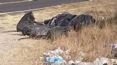 Foto ilustrativa de la nota titulada Fiscalía de Puebla: Hallan bolsas con restos humanos en la carretera Tehuacán-Orizaba