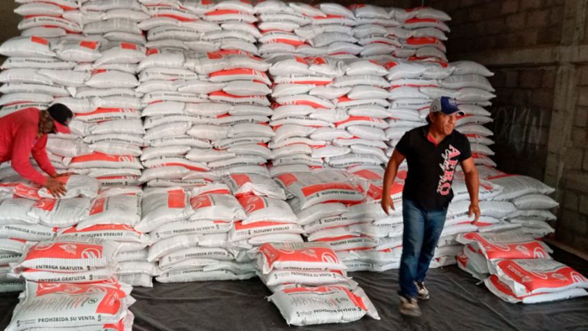 Programa de Fertilizantes Bienestar se extiende para pequeños productores de Sonora; esta es la FECHA límite