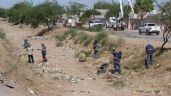 Foto ilustrativa de la nota titulada Abejas pican a 15 trabajadores municipales de Hermosillo cuando limpiaban canal en Pueblitos