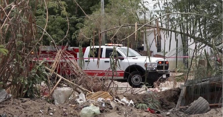 Personal de bomberos acudio a retirar el enjambre de abejas a la colonia Pueblitos