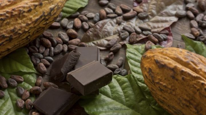 Día Mundial del Cacao y el Chocolate: Origen y por qué se conmemora HOY 7 de julio