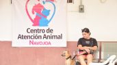 Foto ilustrativa de la nota titulada Animalistas piden actualizar el reglamento municipal de protección animal en Navojoa