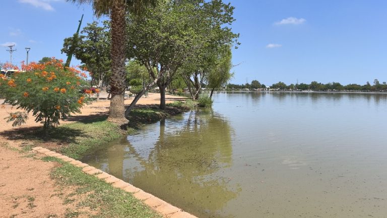 Laguna del Náinari alcanza nivel óptimo por nueva estrategia de conservación en Cajeme