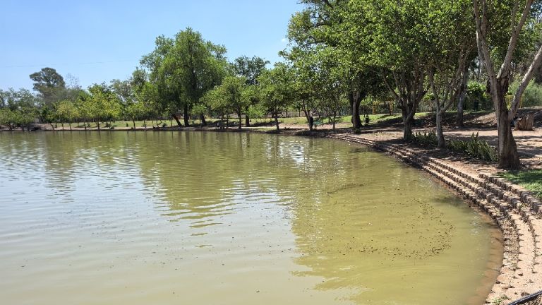 Laguna del Náinari alcanza nivel óptimo por nueva estrategia de conservación en Cajeme