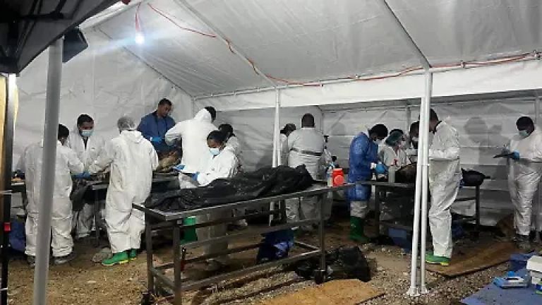 Fiscalía de Chihuahua concluye procesamiento de los 383 cadáveres del crematorio Plenitud