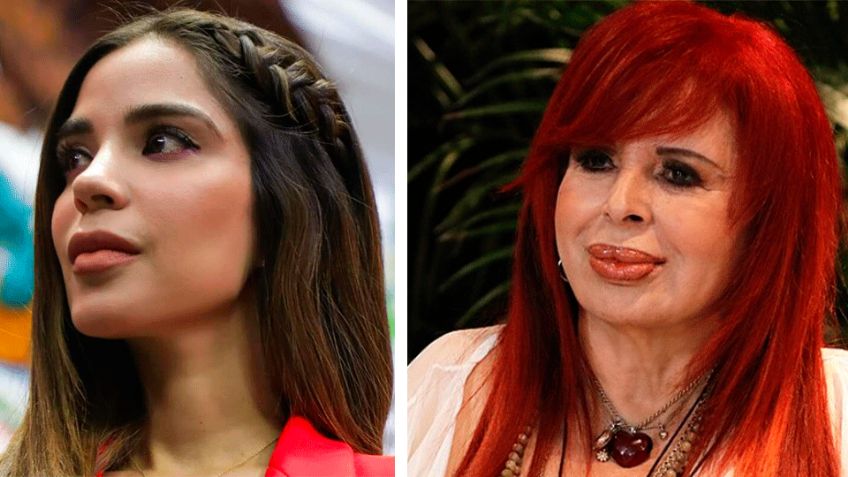 Casos de disculpas públicas a políticos por parte de periodistas, ciudadanos y artistas