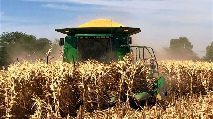 Invitan al Primer Foro Internacional de Diversificación Productiva en Cajeme