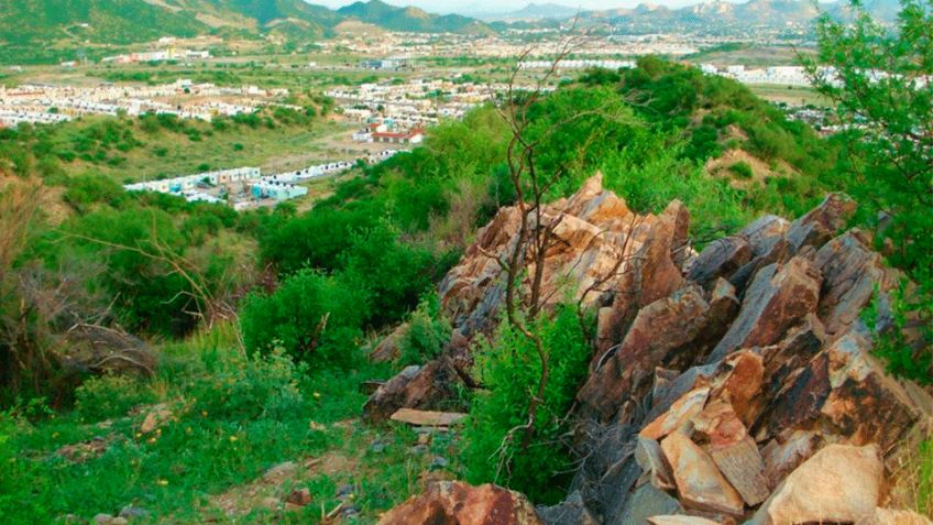 Denuncian invasión en área protegida del Cerro Johnson en Hermosillo; piden atención