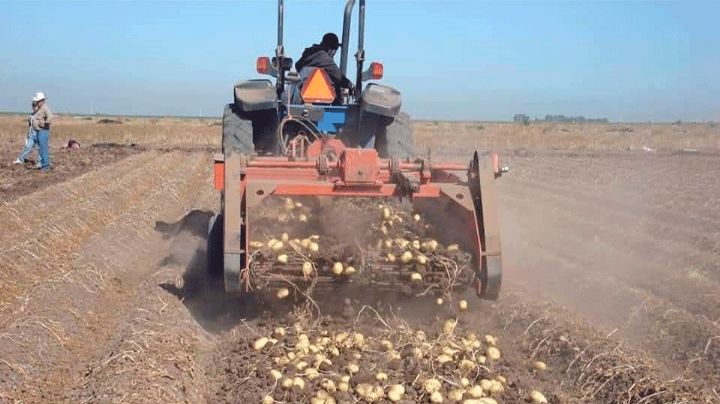 Valle del Yaqui: Agricultores piden que proceda la declaración de emergencia por sequía