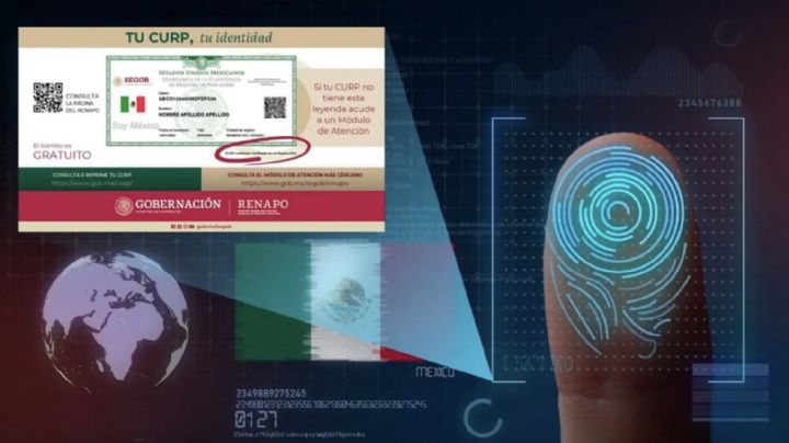 Sheinbaum aclara: CURP biométrica no será obligatoria en México; es opcional