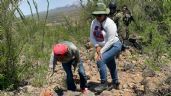 Foto ilustrativa de la nota titulada Encuentran a hombre sin vida en lo alto de un cerro en Sonora; tenía meses en el sitio