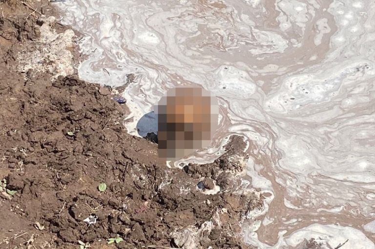 El lugar donde fue encontrado el cráneo humano