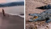 Foto ilustrativa de la nota titulada: VIDEO: Cocodrilo acecha a turista en playa de Puerto Vallarta y casi lo devora