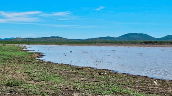 Guaymas: Tiempo se agota para programación de cultivos; no hay agua en la presa