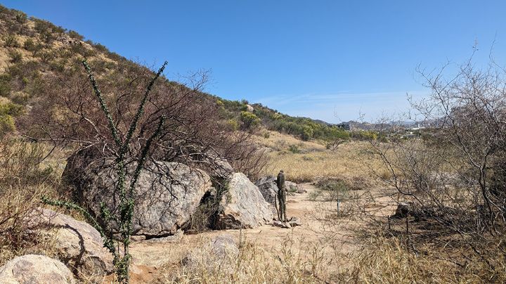 Colectivos ambientalistas presentan denuncia por daños al Cerro Johnson en Hermosillo