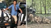 Foto ilustrativa de la nota titulada: FUERTE VIDEO: Grupo de leones devora a un cuidador en conocido zoológico de Tailandia