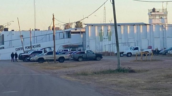 Hallan muerto a reo en una celda aislada de un penal de Sinaloa; es el segundo en 8 días