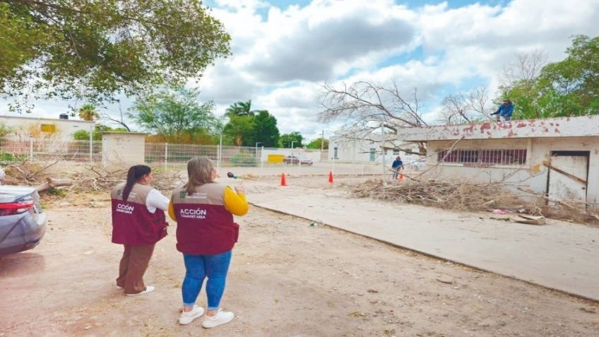 No hay repunte de casos confirmados de dengue en Sonora: Secretaría de Salud